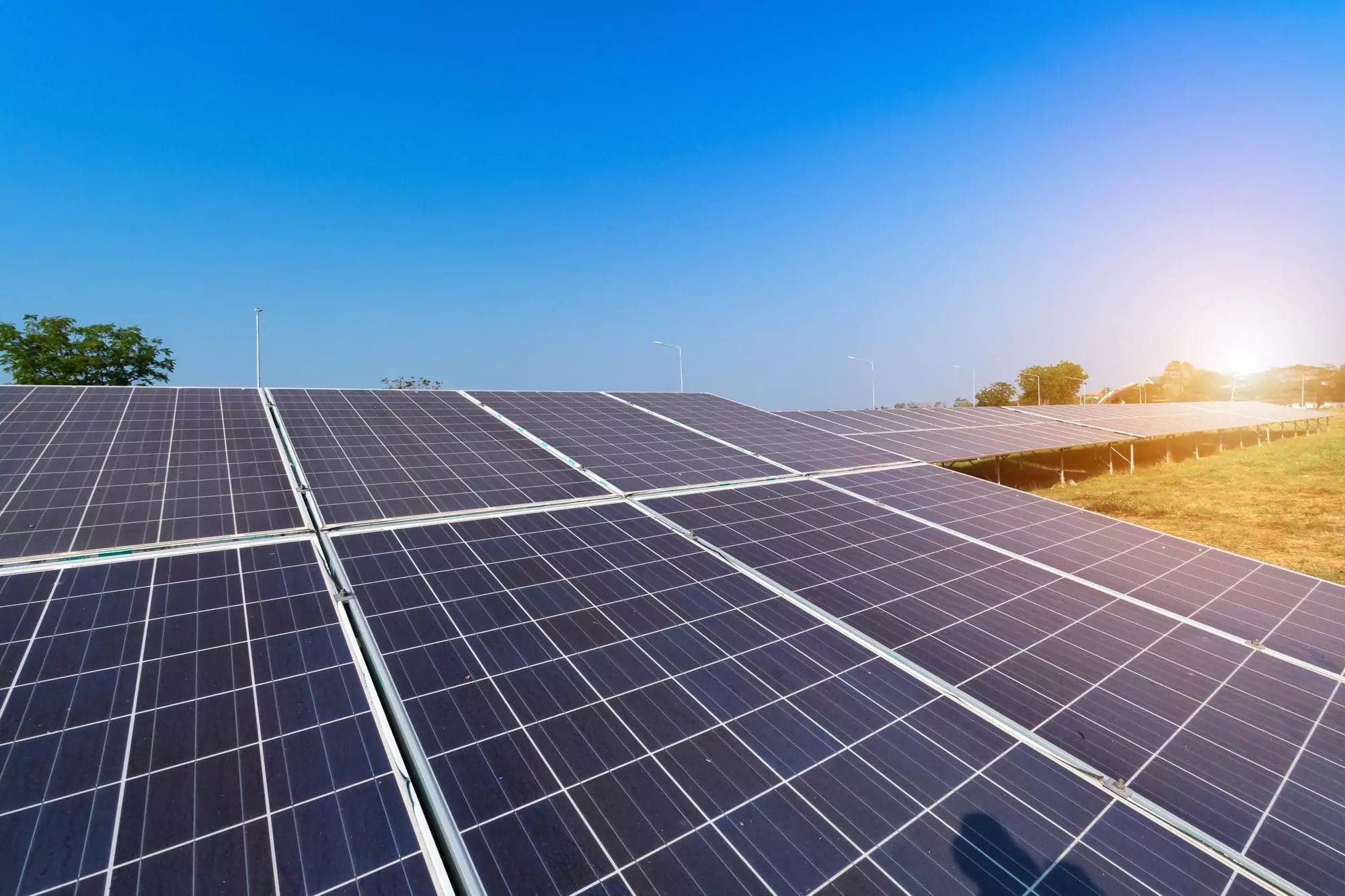 Rows of solar panels in a field under a clear blue sky, generating clean energy.
